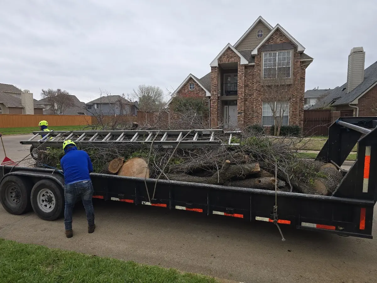 Expert Tree Pest Control with proper safety equipment in Weinert